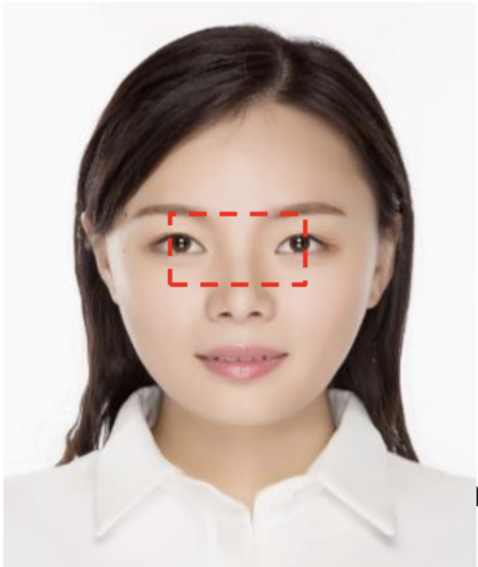 Face recognition quality guide
